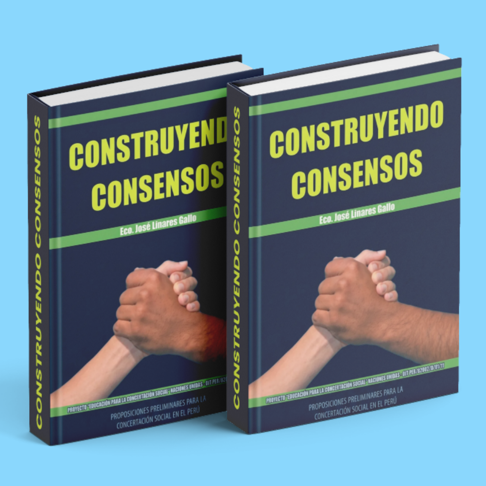 LIBRO CONSTRUYENDO CONSENSOS